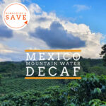 Badger & Dodo. Lush green coffee plants under a cloudy blue sky; text reads Mexico Quetzal–MWP Decaf. Enjoy premium decaf coffee—Subscribe & Save.
