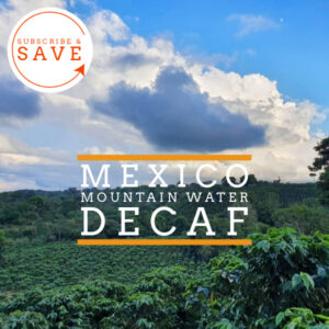 Badger & Dodo. Lush green coffee plants under a cloudy blue sky; text reads Mexico Quetzal–MWP Decaf. Enjoy premium decaf coffee—Subscribe & Save.