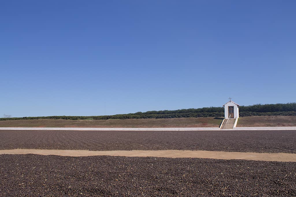Badger and Dodo Coffee Roasters: A solitary small white chapel with closed doors sits on a platform in the distance. It is bordered by a staircase and surrounded by a flat, barren field under a clear blue sky, reminiscent of post-Brexit UK landscapes. A line of green shrubs is visible on the horizon.