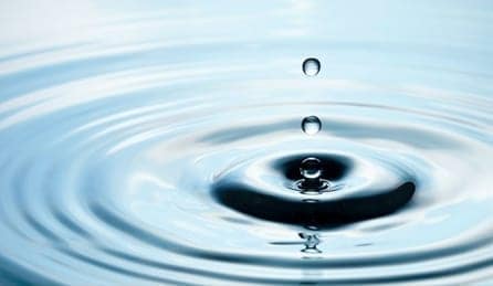 Badger and Dodo Coffee Roasters: A close-up of a water droplet falling into a body of better water, creating concentric ripples. The smooth surface glistens with light reflection, capturing the moment just before the droplet makes contact.