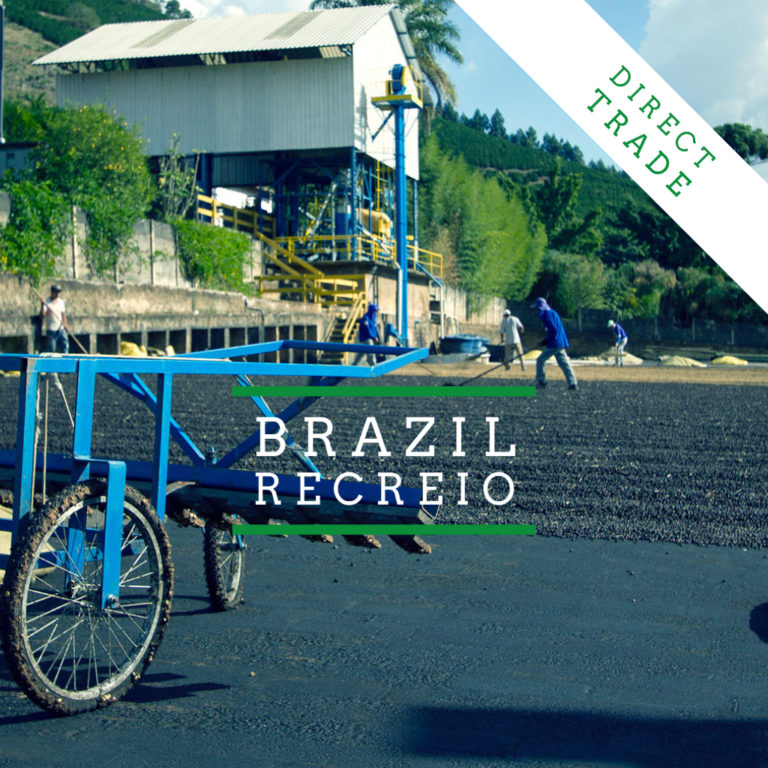 Badger and Dodo Coffee Roasters: A coffee farm in Brazil with workers spreading coffee beans to dry under the sun. A blue cart is in the foreground. Text reads Brazil Recreio and Direct Trade in the top right corner. Lush greenery and a building are in the background.