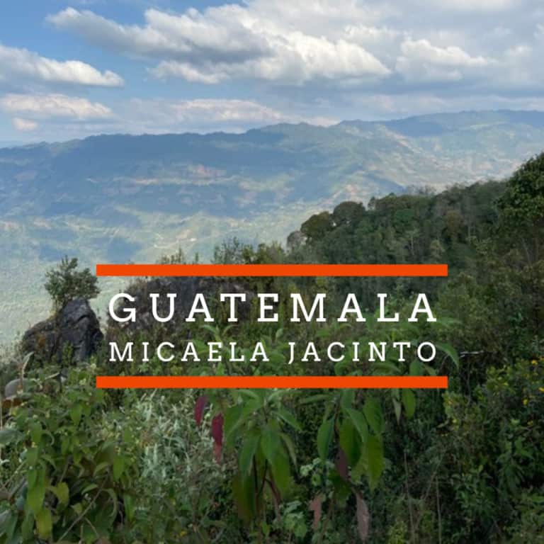 Badger and Dodo Coffee Roasters: A scenic view of lush green mountains under a partly cloudy sky. The foreground shows dense vegetation. Text overlays read GUATEMALA and MICAELA JACINTO in white with orange lines.