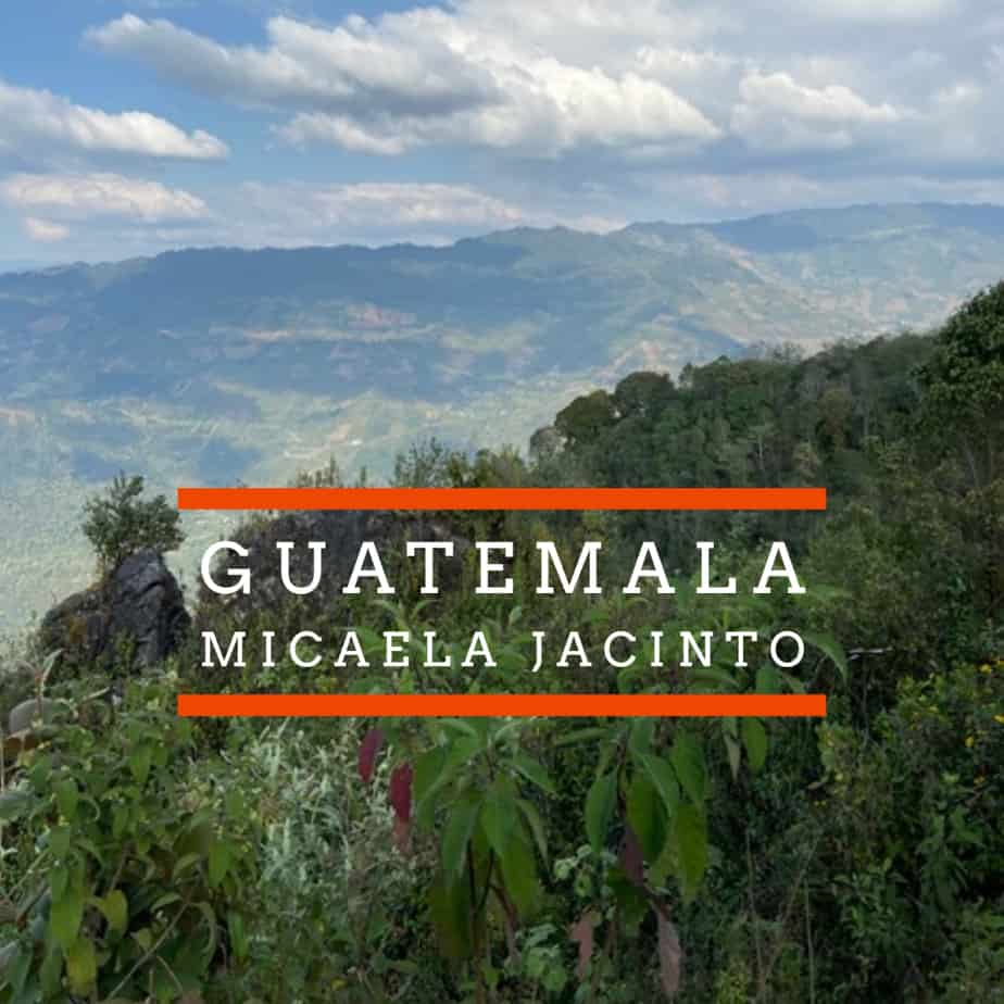 Badger and Dodo Coffee Roasters: A scenic view of lush green mountains under a partly cloudy sky. The foreground shows dense vegetation. Text overlays read GUATEMALA and MICAELA JACINTO in white with orange lines.