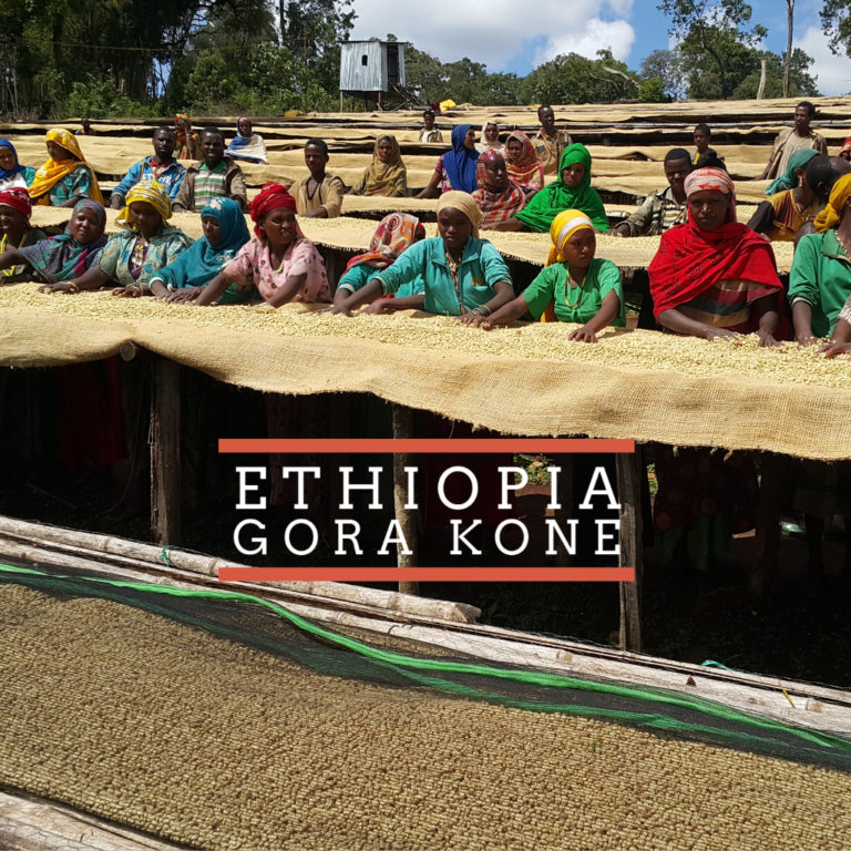 Badger and Dodo Coffee Roasters: People are standing and sitting around drying tables covered with coffee beans. They are outdoors under a blue sky. The text reads Ethiopia Gora Kone.