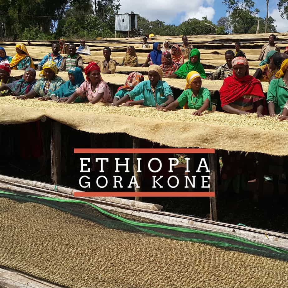 Badger and Dodo Coffee Roasters: People are standing and sitting around drying tables covered with coffee beans. They are outdoors under a blue sky. The text reads Ethiopia Gora Kone.