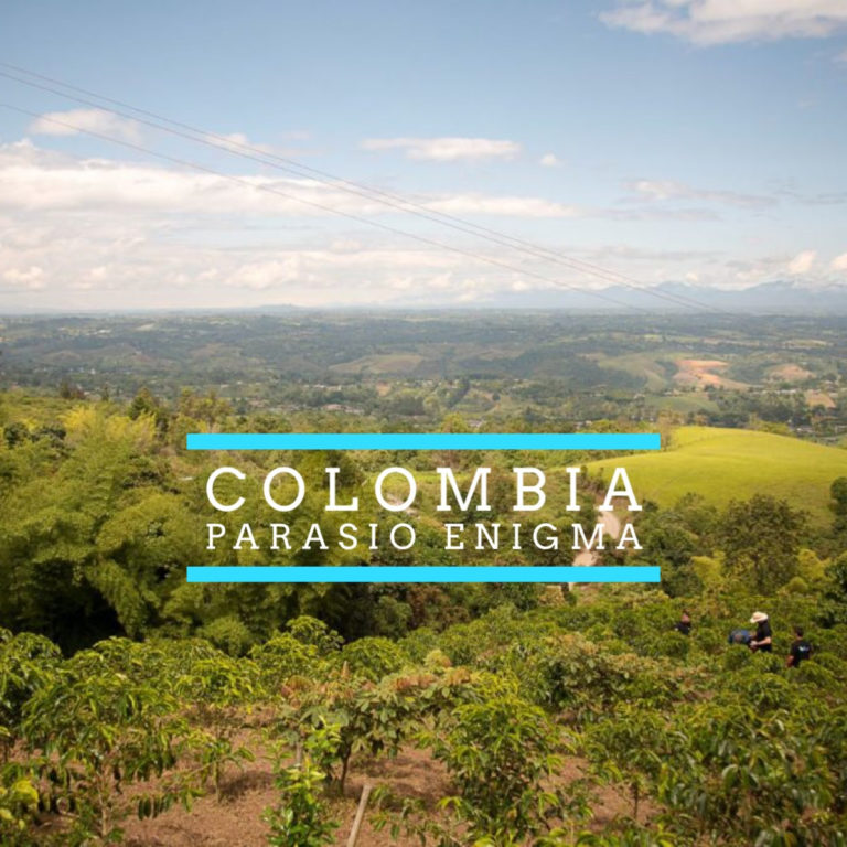 Badger and Dodo Coffee Roasters: Scenic view of a lush, green landscape in Colombia with hills under a partly cloudy sky. The text Colombia Paraiso Enigma is overlaid in the center.