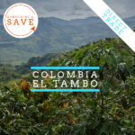 Badger & Dodo. Lush green coffee plants with mountains in the background, featuring the product name Colombia – El Tambo to showcase the rich Colombian landscape.