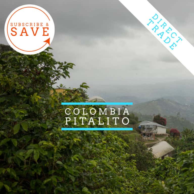 Badger and Dodo Coffee Roasters: A misty landscape showcasing lush Colombian greenery with small buildings, labeled Colombia – El Tambo. A circular Subscribe & Save icon appears in the top left, and a ribbon with Direct Trade decorates the top right.