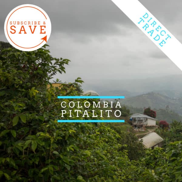 Badger and Dodo Coffee Roasters: A misty landscape showcasing lush Colombian greenery with small buildings, labeled Colombia – El Tambo. A circular Subscribe & Save icon appears in the top left, and a ribbon with Direct Trade decorates the top right.