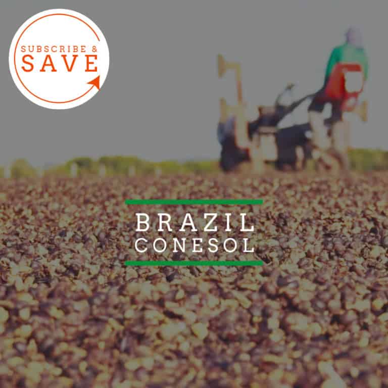 Badger and Dodo Coffee Roasters: A close-up of Brazil: Recreio coffee beans drying on the ground shows a blurred worker operating machinery in the background. The Subscribe & Save logo is prominently displayed in the top-left corner, accompanied by the text Brazil Conesol.