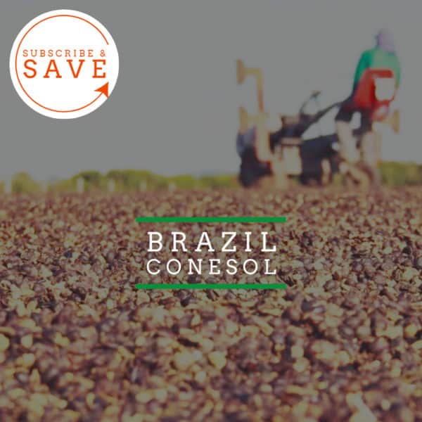 Badger and Dodo Coffee Roasters: A close-up of Brazil: Recreio coffee beans drying on the ground shows a blurred worker operating machinery in the background. The Subscribe & Save logo is prominently displayed in the top-left corner, accompanied by the text Brazil Conesol.