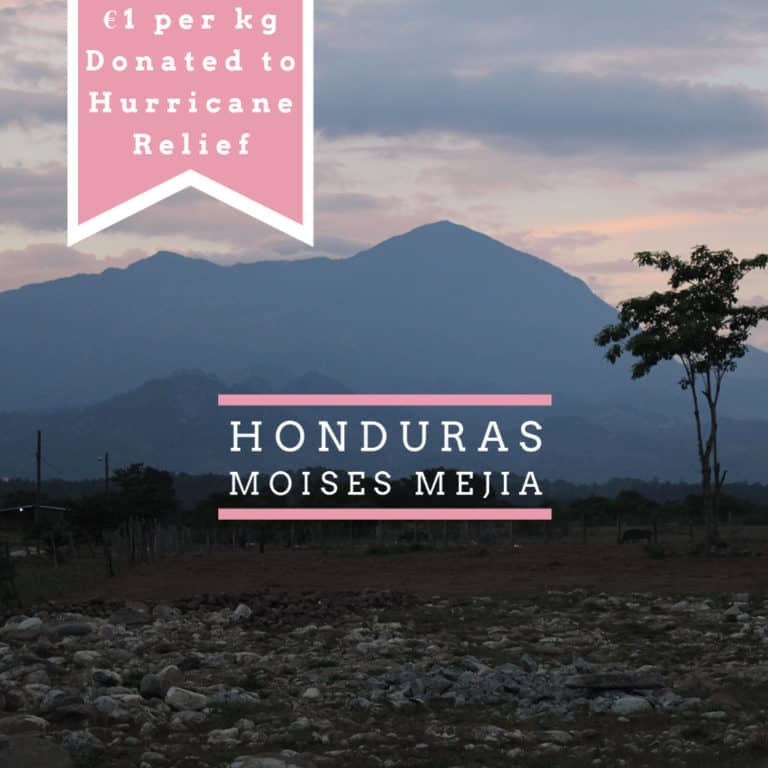 Badger and Dodo Coffee Roasters: Mountain landscape in Honduras at dusk, with a banner saying €1 per kg Donated to Hurricane Relief and Honduras Moises Mejia in the center. A lone tree and rocky foreground are visible under a cloudy sky.
