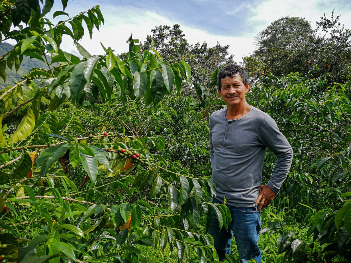 Limited Edition Colombia – La Estrella cafeimportscolombianeftalifajardoi 1 scaled