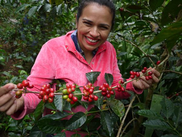 Discover Coffee Series Caballero2
