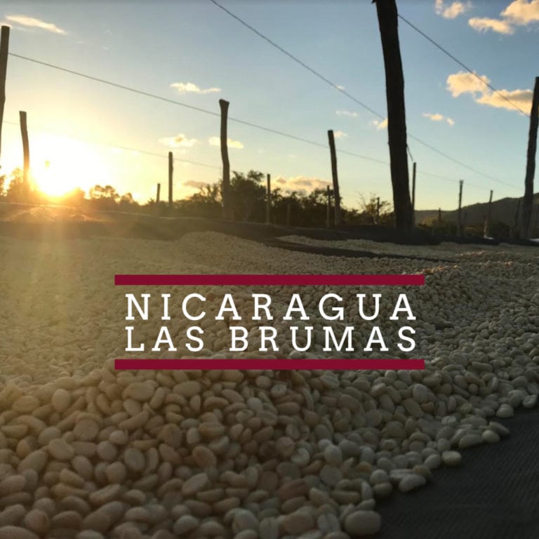 Badger and Dodo Coffee Roasters: As the sun sets over a Nicaraguan farm, a warm glow envelops the drying beans. The scene is framed by a wooden fence and distant hills, with Nicaragua - Las Brumas capturing the essence.