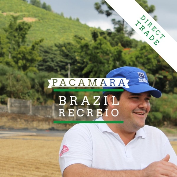 Badger and Dodo Coffee Roasters: A person in a blue cap and white shirt smiles outdoors against Brazils vibrant landscape with lush green hills. Text overlay reads Brazil:Recreio Pacamara and Direct Trade.