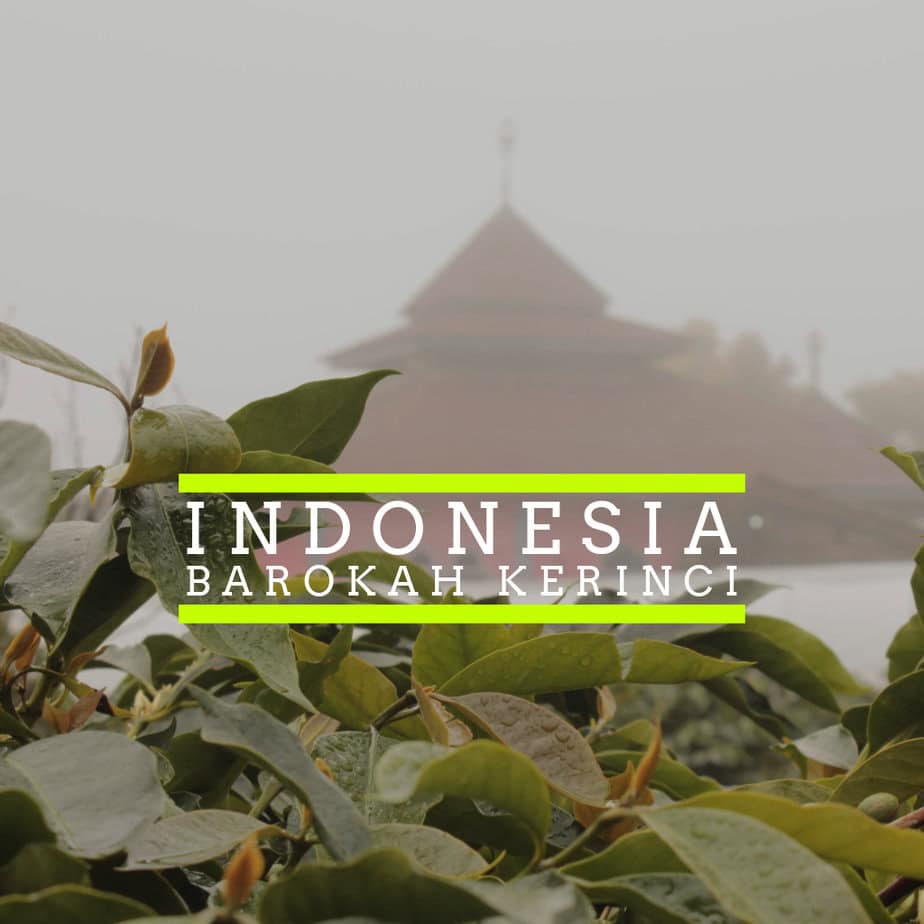 Badger & Dodo. Green leaves in the foreground with a traditional Indonesian roof in the mist, text reads “Indonesia Barokah Kerinci.”.
