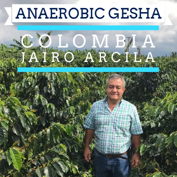 Badger & Dodo. A man stands in a Colombian coffee field, showcasing the renowned Gesha variety. Text over the image reads: Anaerobic Gesha Colombia Jairo Arcila.