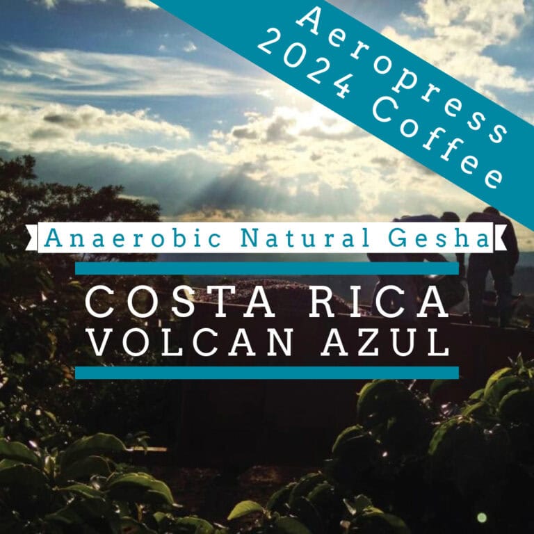 Badger & Dodo. Silhouetted people on a farm at sunset; text promotes Costa Rica - Volcán Azul - Gesha Natural Anaerobic, a vibrant summer coffee blend perfect for warm evenings.