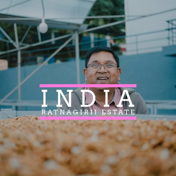 Badger & Dodo. Smiling man stands behind a pile of dried beans with India Ratnagiri Estate text over the image.