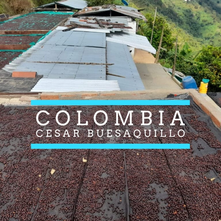 Colombia coffee beans on the roof of a coffee farm.