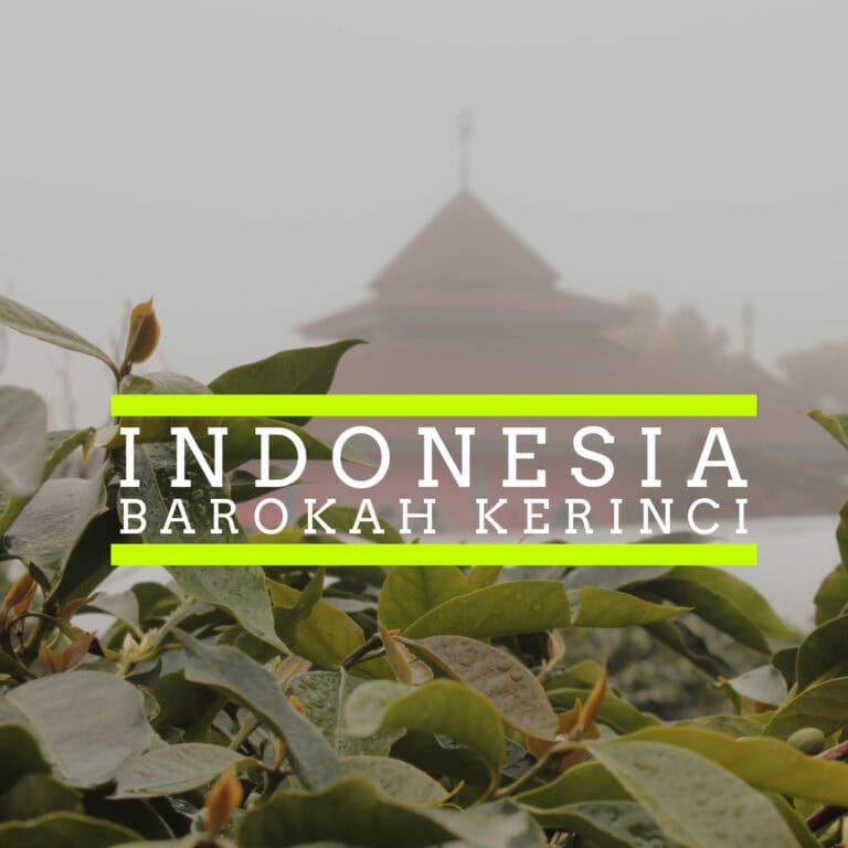 A misty background featuring a traditional Indonesian building with a tiered roof, partially obscured by fog. In the foreground, lush green leaves are covered with dew. Overlaid text reads "INDONESIA" and "BAROKAH KERINCI" in bold white letters, highlighted by bright neon green horizontal lines.