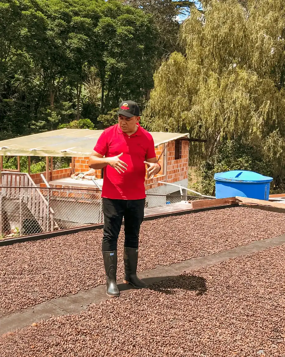 New Super Premium Release: El Mirador Pink Champagne Infused Colombia farmers clearpath elkin guzman elkin guzman 03 scaled coffee