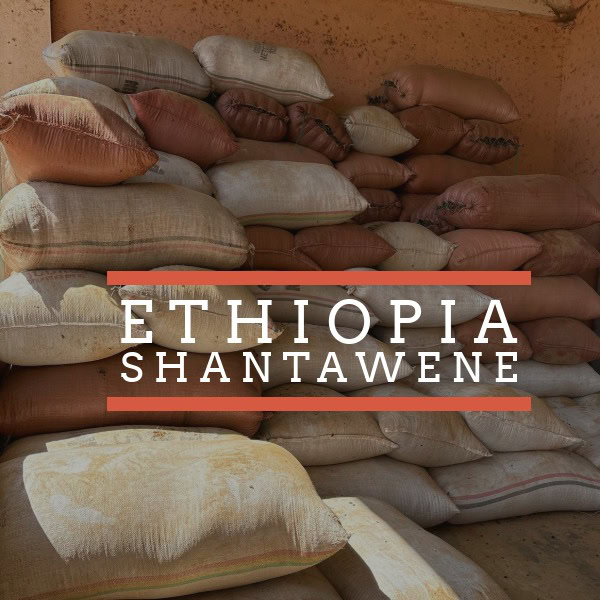 A stack of burlap and woven sacks filled with agricultural goods, piled in a rustic storage room. Overlaid white text reads “ETHIOPIA SHANTAWENE,” framed by two red horizontal lines.