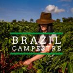A woman wearing a brown hat harvests ripe red coffee cherries in a lush green field under a blue sky, with the words “Brazil Campestre” displayed across the center.