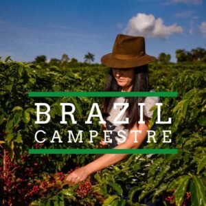 A woman wearing a brown hat harvests ripe red coffee cherries in a lush green field under a blue sky, with the words “Brazil Campestre” displayed across the center.